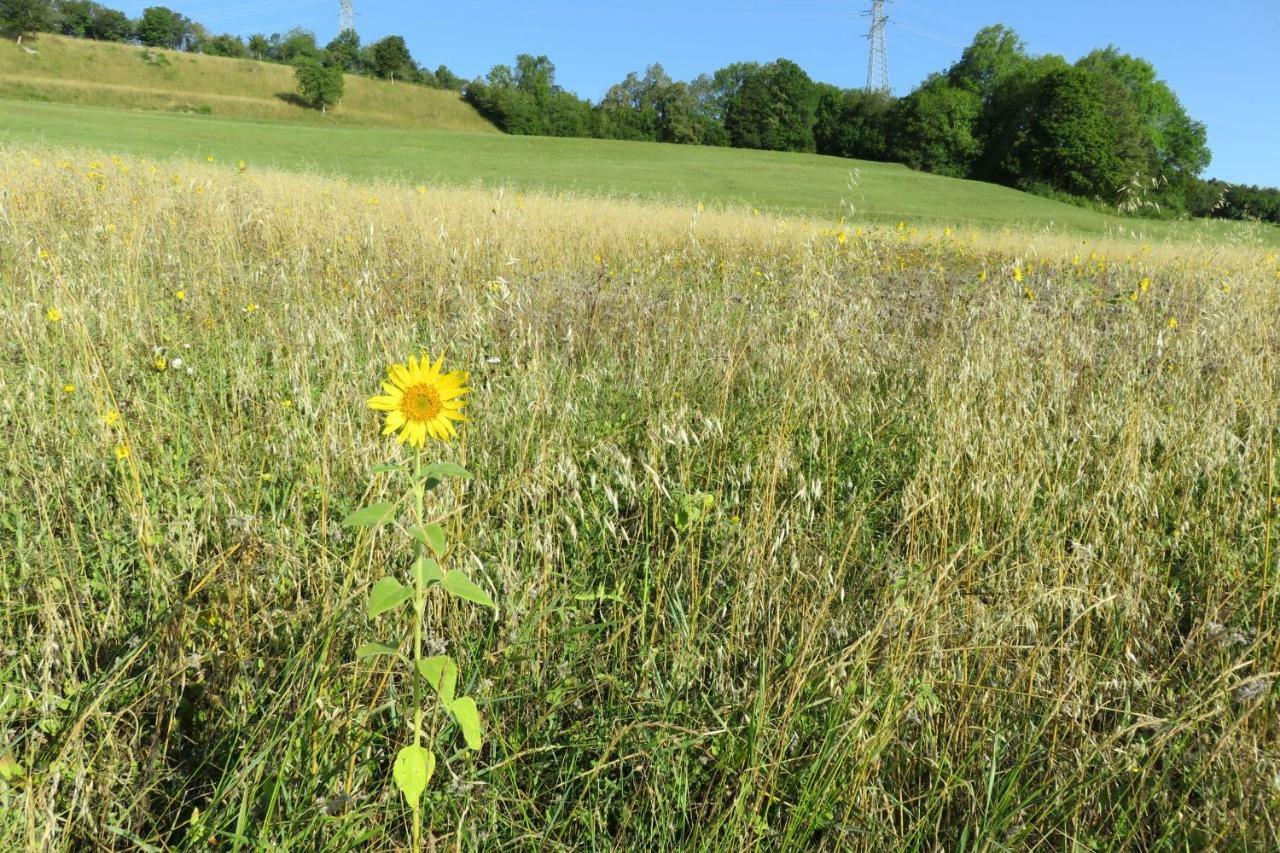 Appartamento Haus Morgensonne Weilheim Esterno foto